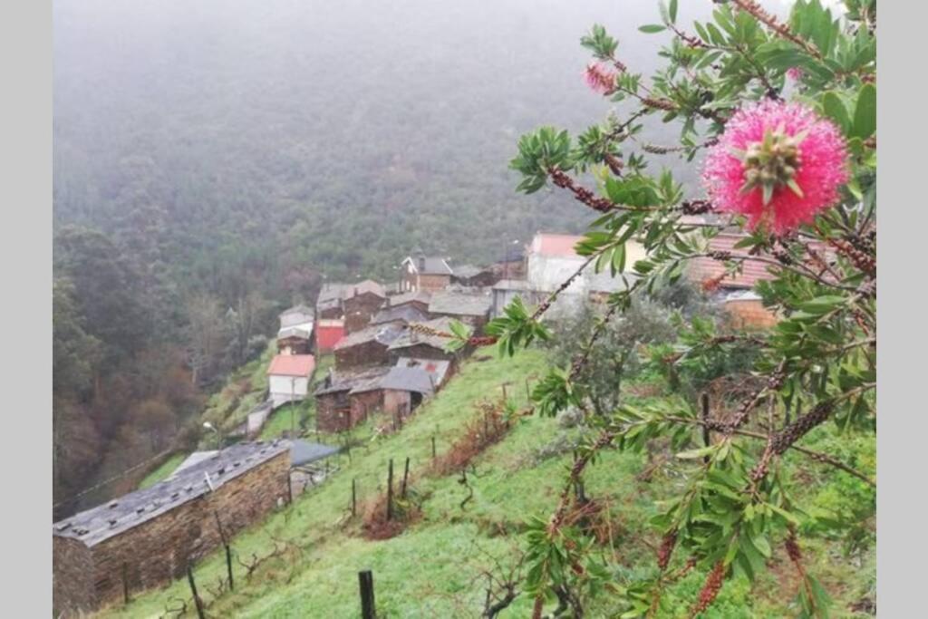 Casa Do Avo Alvaro - Refugio Do Rei Casal do Rei  Eksteriør billede